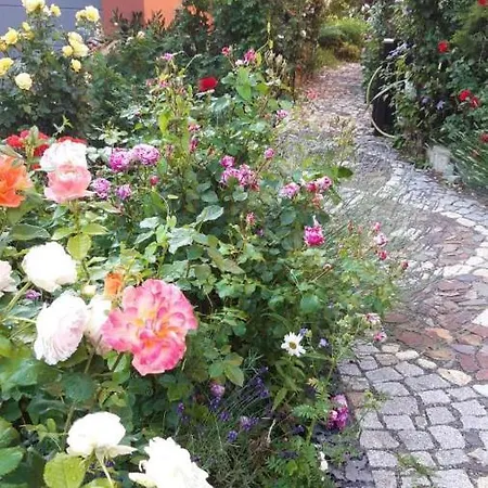 Art Ddr Eig Bad Dir Im Zim, 3 Og, Treppensteigen Kein Fruehhstück Keine Kueche Nur Uebernachtung Parkpl, Wifi, Blankenb Pensión