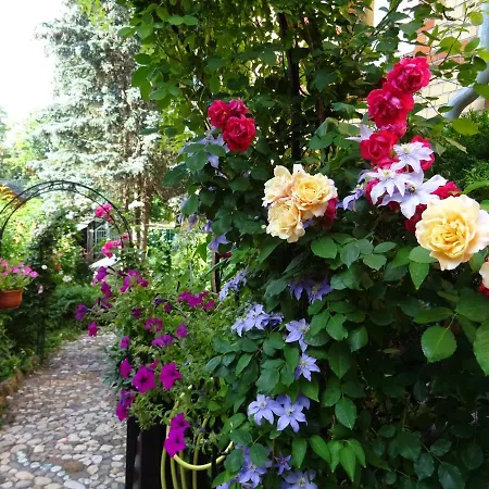 Art Ddr Eig Bad Dir Im Zim, 3 Og, Treppensteigen Kein Fruehhstück Keine Kueche Nur Uebernachtung Parkpl, Wifi, Blankenb 3* Blankenburg (Harz)